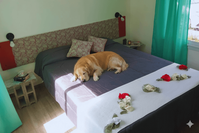 Click to Open A Descansar!